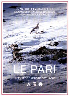 Affiche film Le pari.jpg
